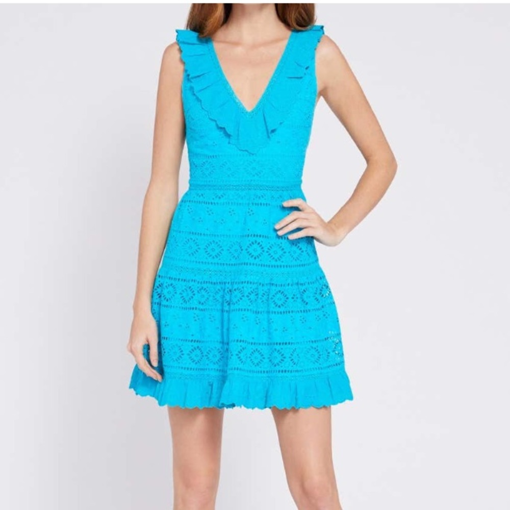 Alice Olivia Dress